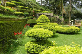 Abad Copper Castle à Munnar jardin