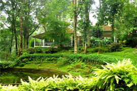 Tall Trees à Munnar jardin