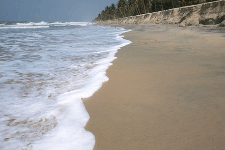 Plage de Mararikulam