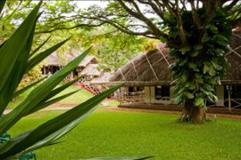 spice village 2