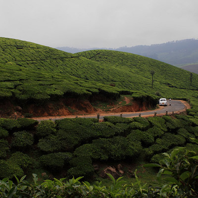 inde du sud authentique