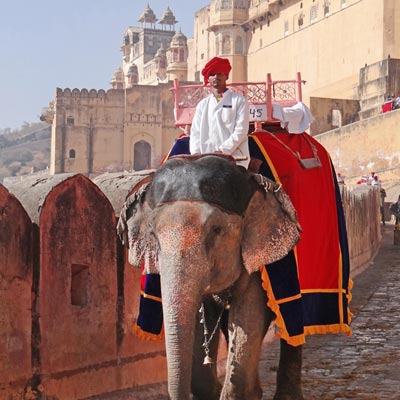 Fort d Amber à Jaipur Rajasthan